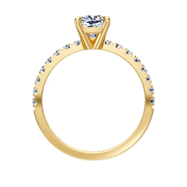 Alina_stand_Zenubia_Schmuck_Winterthur_Verlobungsring_Alina_stand_30003